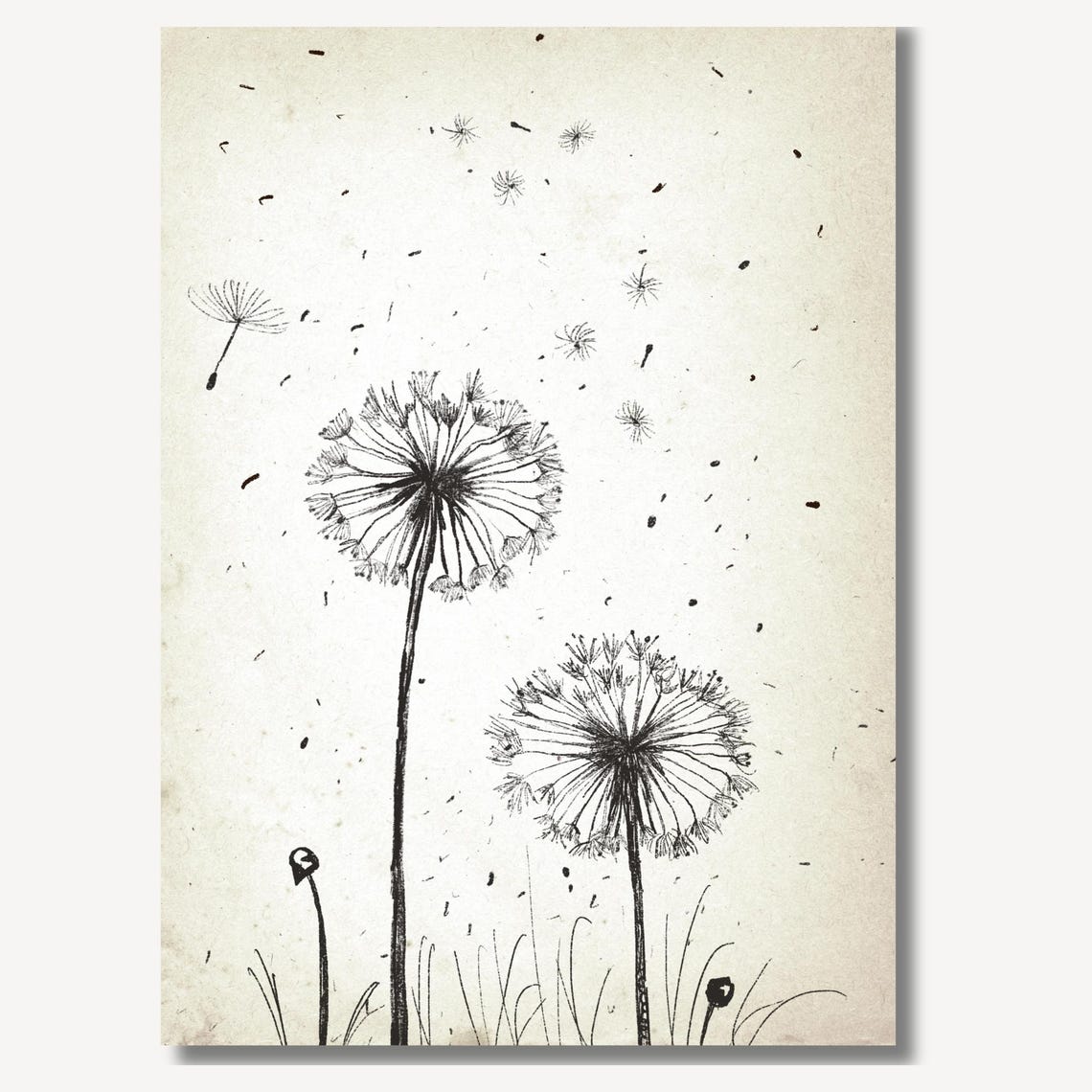 Dandelion Seed Heads Blowing in the Wind Botanical Art Print - Image 2