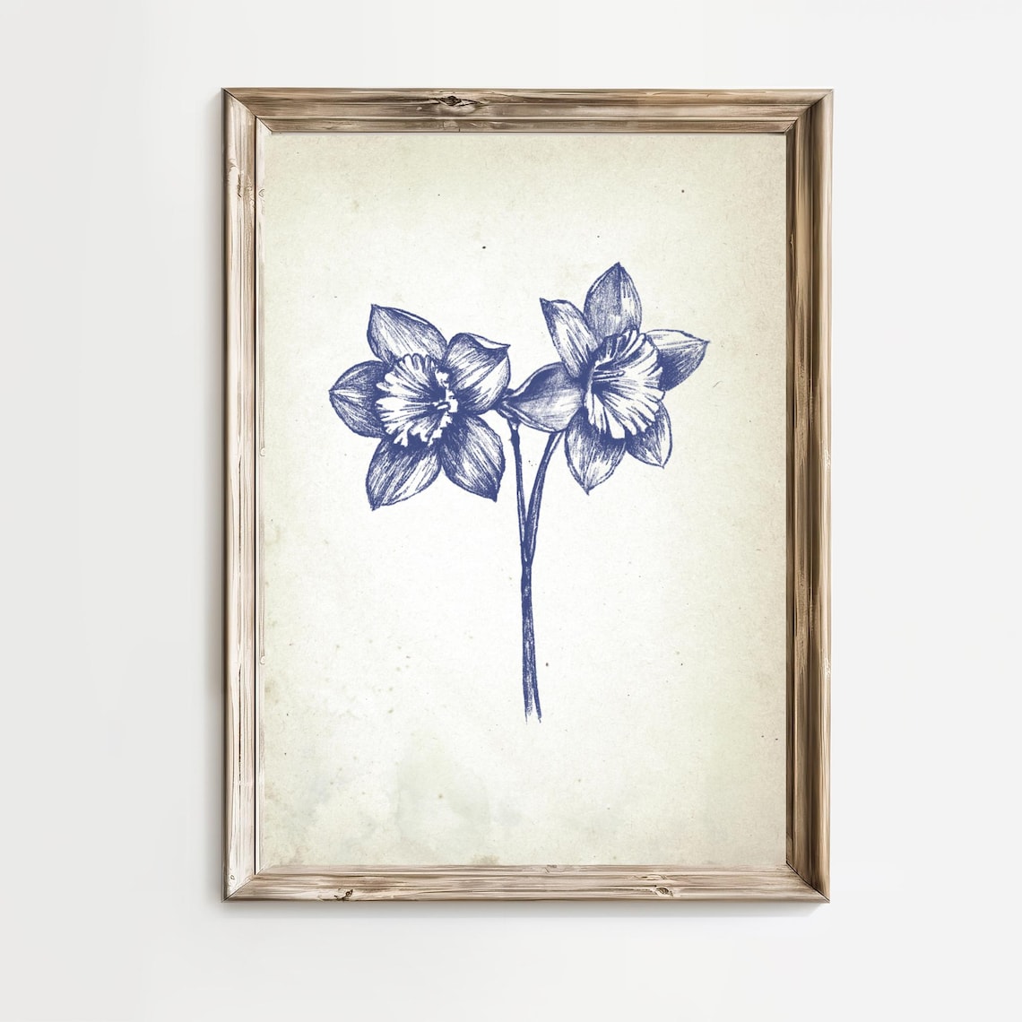 Pair of Daffodils in Vintage Blue Botanical Ink Sketch Poster