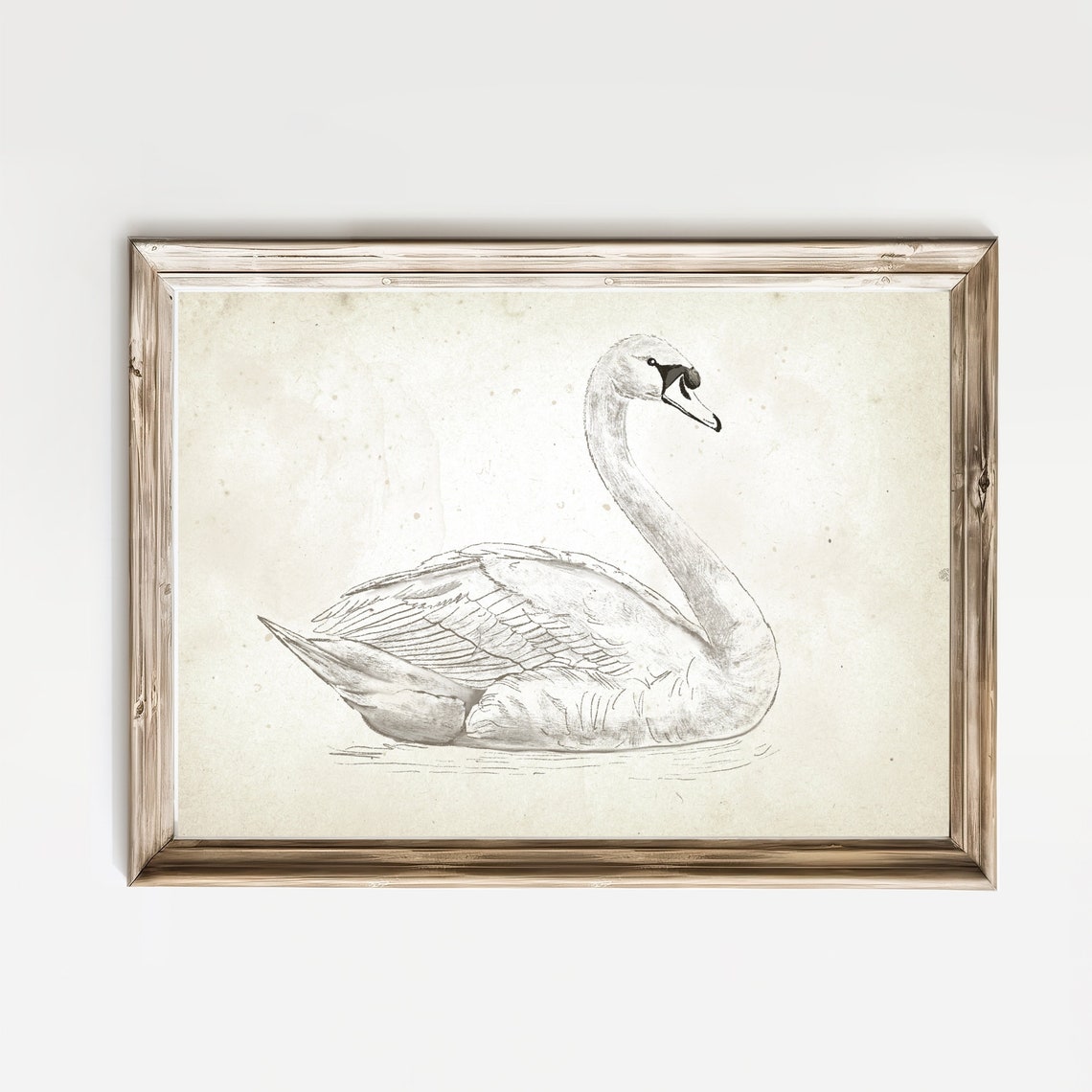 Resting Swan Antique Pencil Sketch Neutral Farmhouse Nursery Wall Art