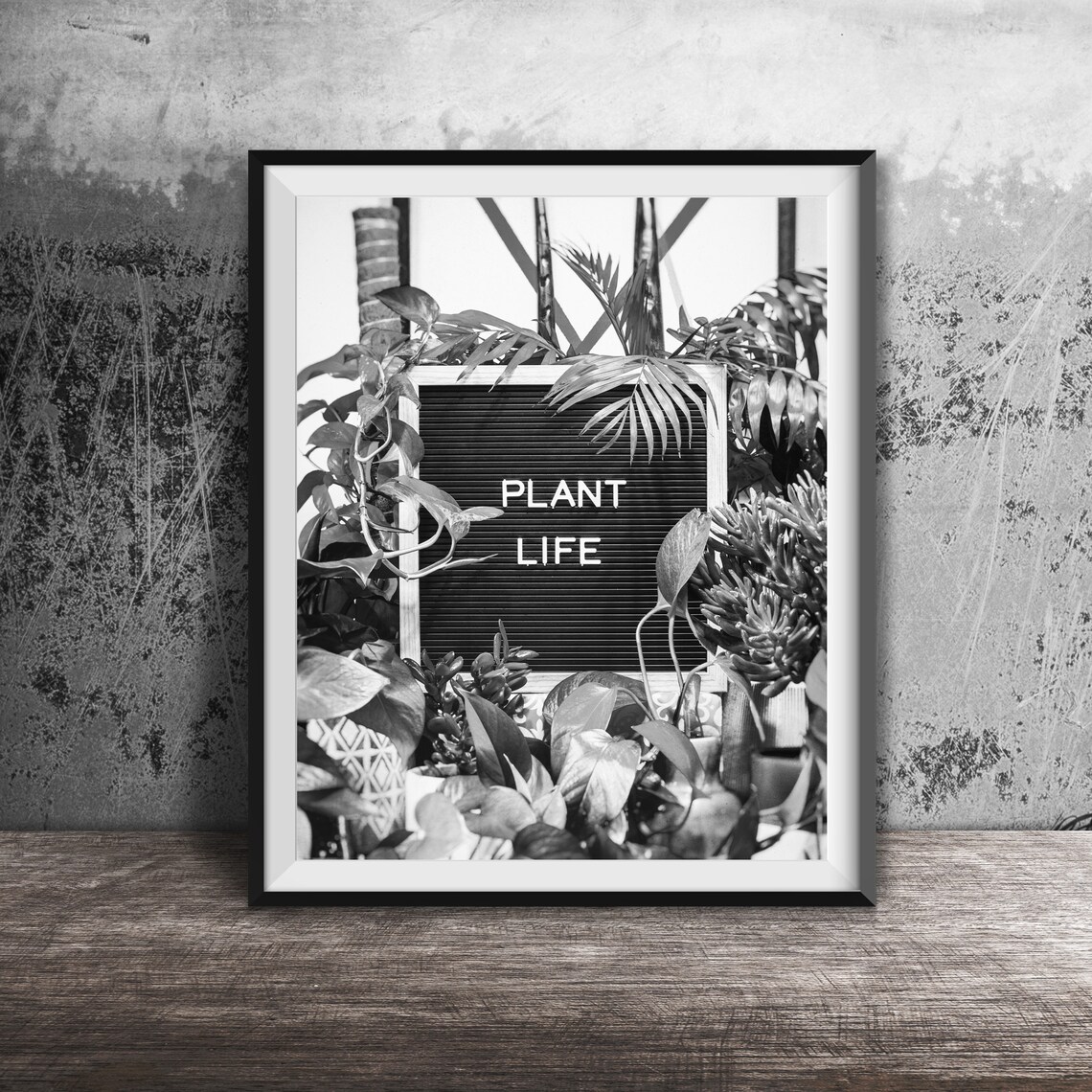 Plant Life Letter Board Lush Houseplants Jungle Photo Poster - Image 2