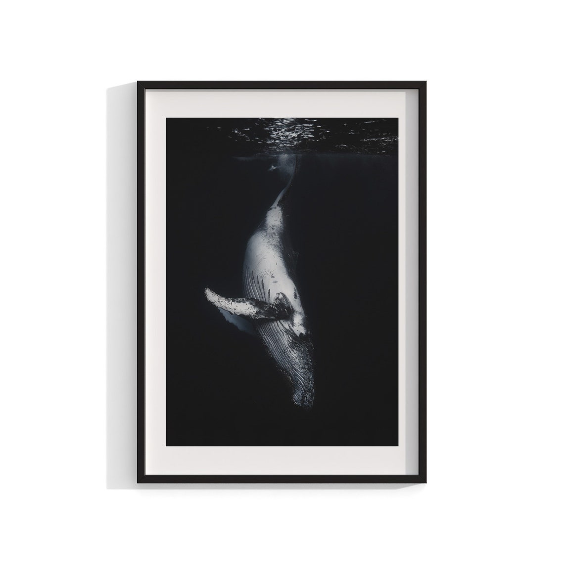 Humpback Whale Print, Underwater Photography