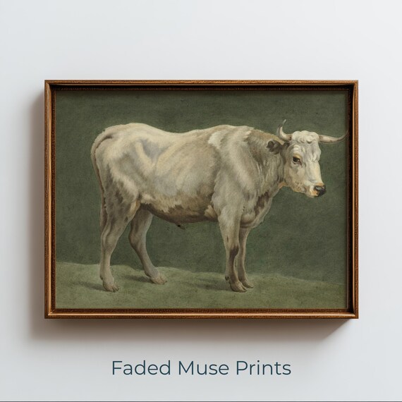 Vintage Cream Cow Print Rustic Farmhouse Animal Wall Art Digital Download 1278