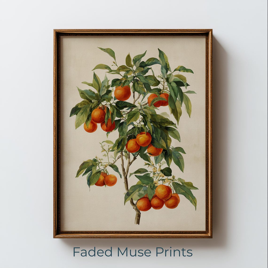 Orange Tree Botanical Illustration Vintage Cottagecore Wall Art Digital Download 1617