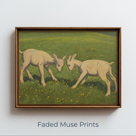 Young Lambs Butting Heads Rustic Pastoral Meadow Animal Art Poster