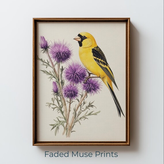 Vintage Goldfinch Print, Botanical Poster Print