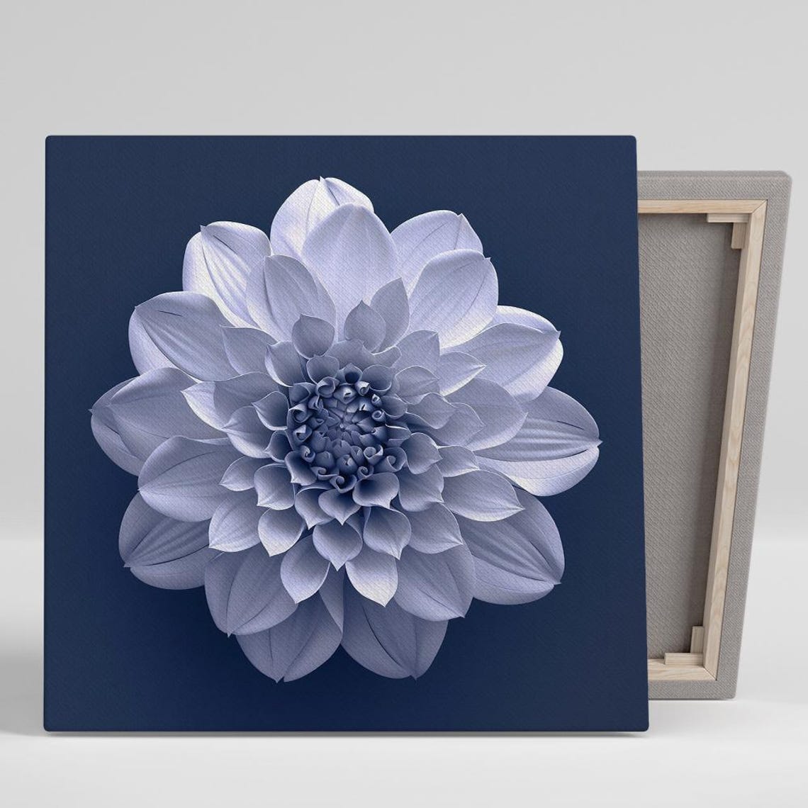 White Dahlia Bloom on Deep Navy Background Modern Minimalist Print