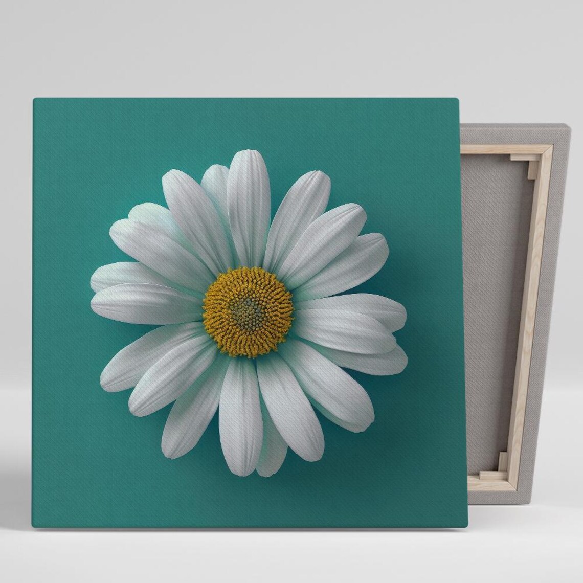 White Daisy Macro Close Up on Teal Green Bold Minimalist Flower Poster