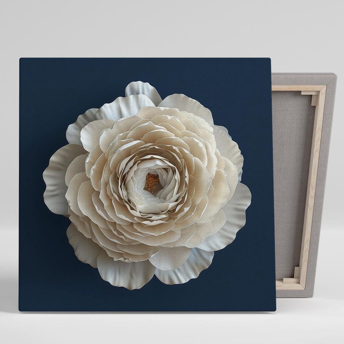 White Ranunculus Bloom Close Up Navy Blue Contrast Botanical Wall Art