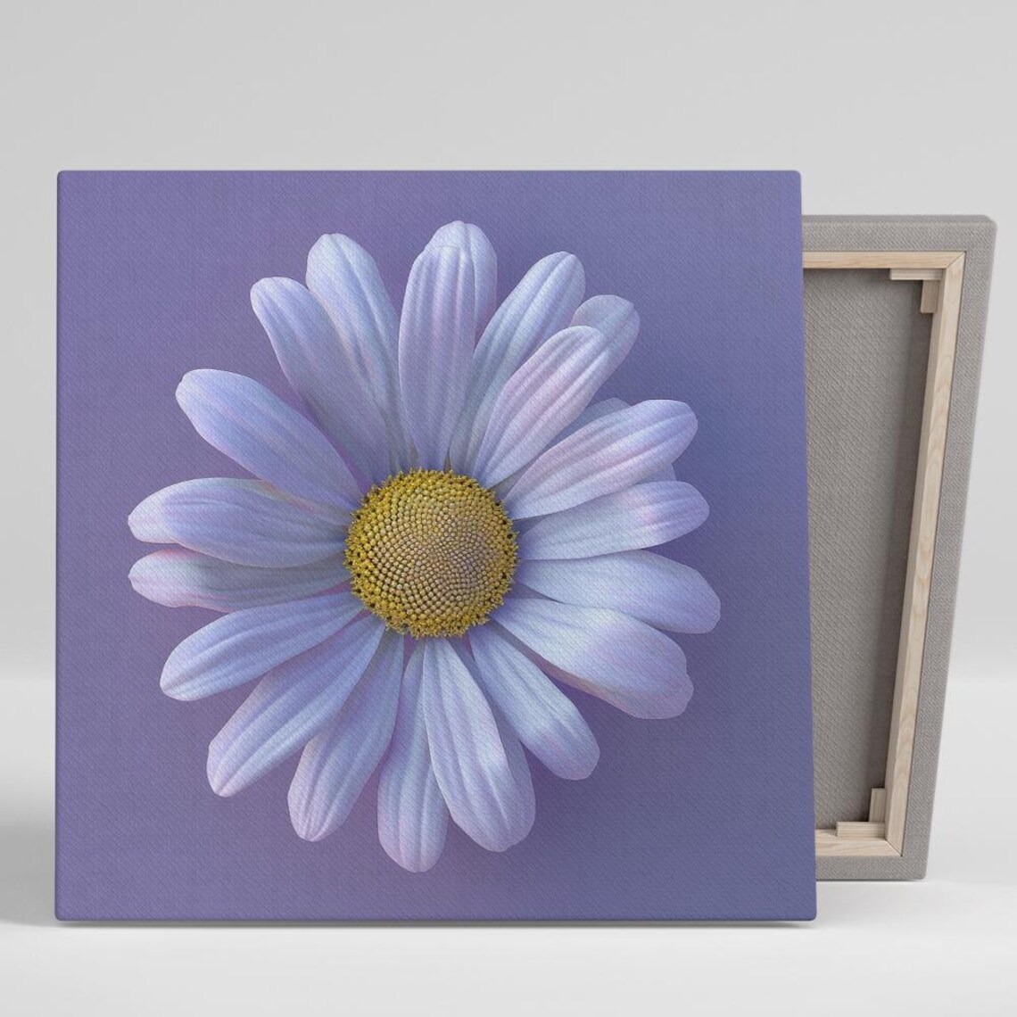 White Daisy Lavender Blue Petals Gold Center Soft Minimal Poster