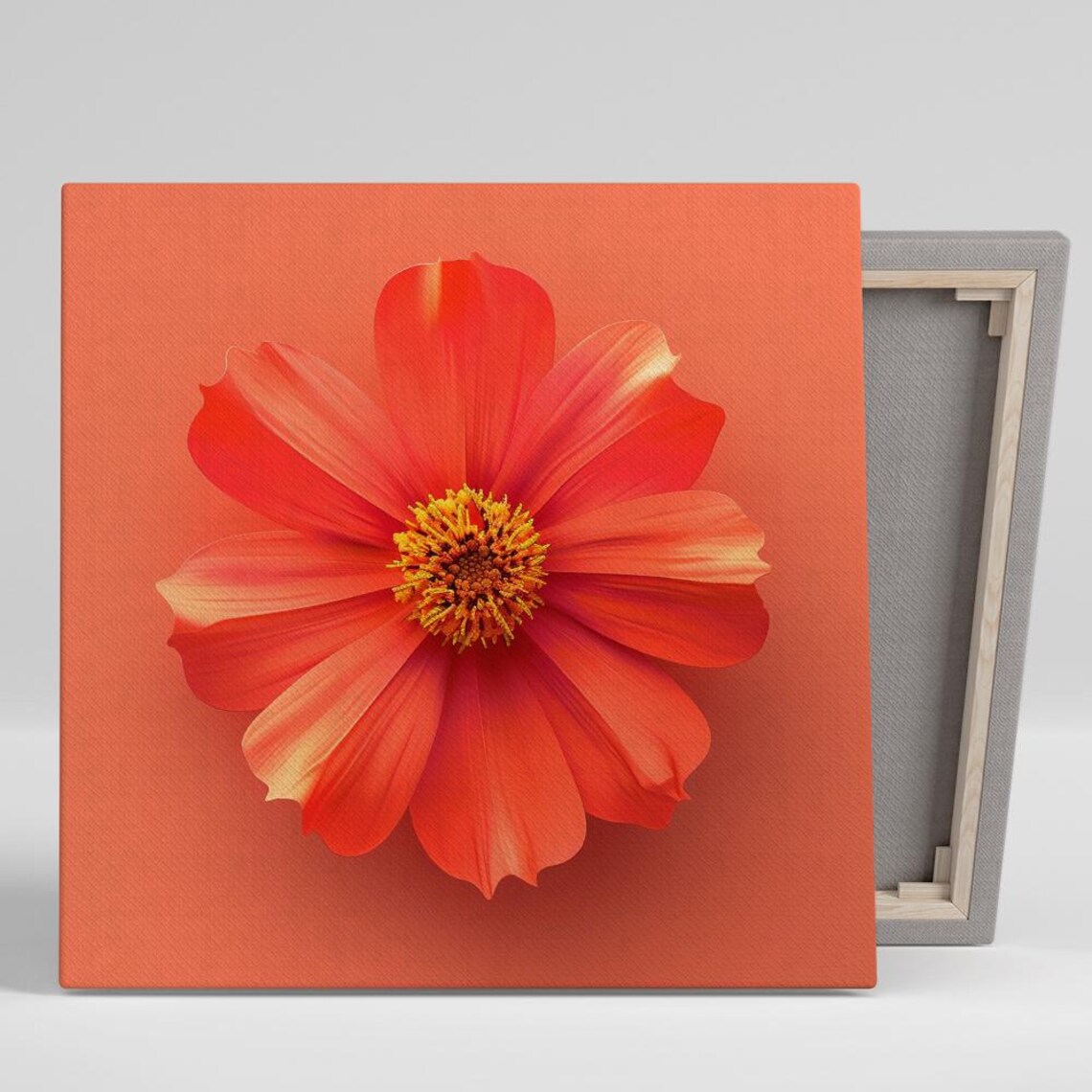 Coral Orange Cosmos Bloom Minimalist Macro Floral Art Wall Poster
