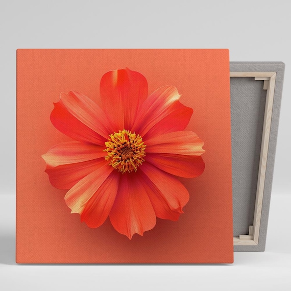 Coral Orange Cosmos Bloom Minimalist Macro Floral Art Wall Poster