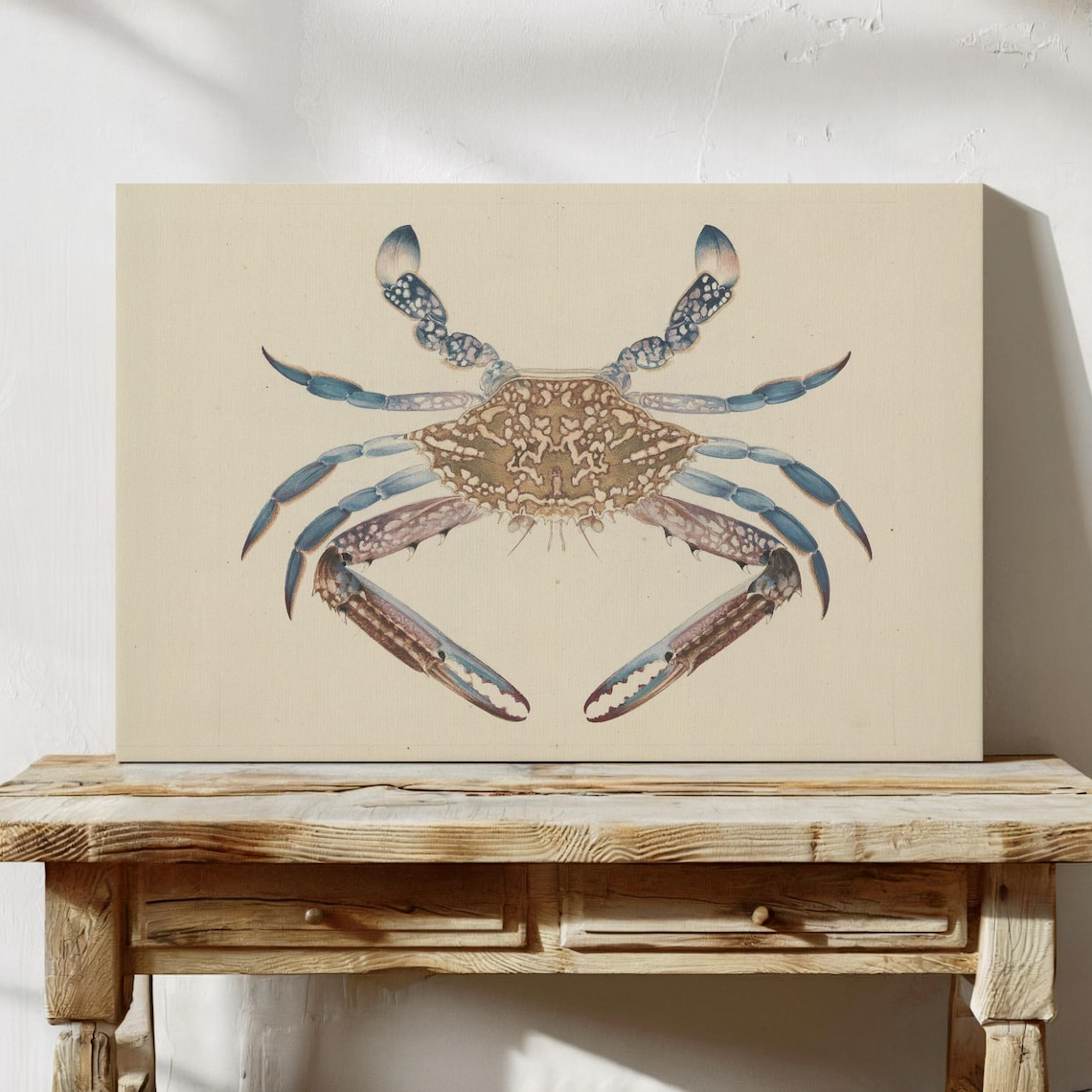 Blue Crab Antique Natural History Ocean Animal Illustration Poster