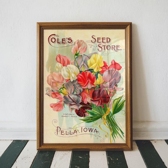 Vintage Gardening Print Botanical Wall Decor Antique Seed Packet Farmhouse Kitchen Art Vegetable Garden Poster Coles Store