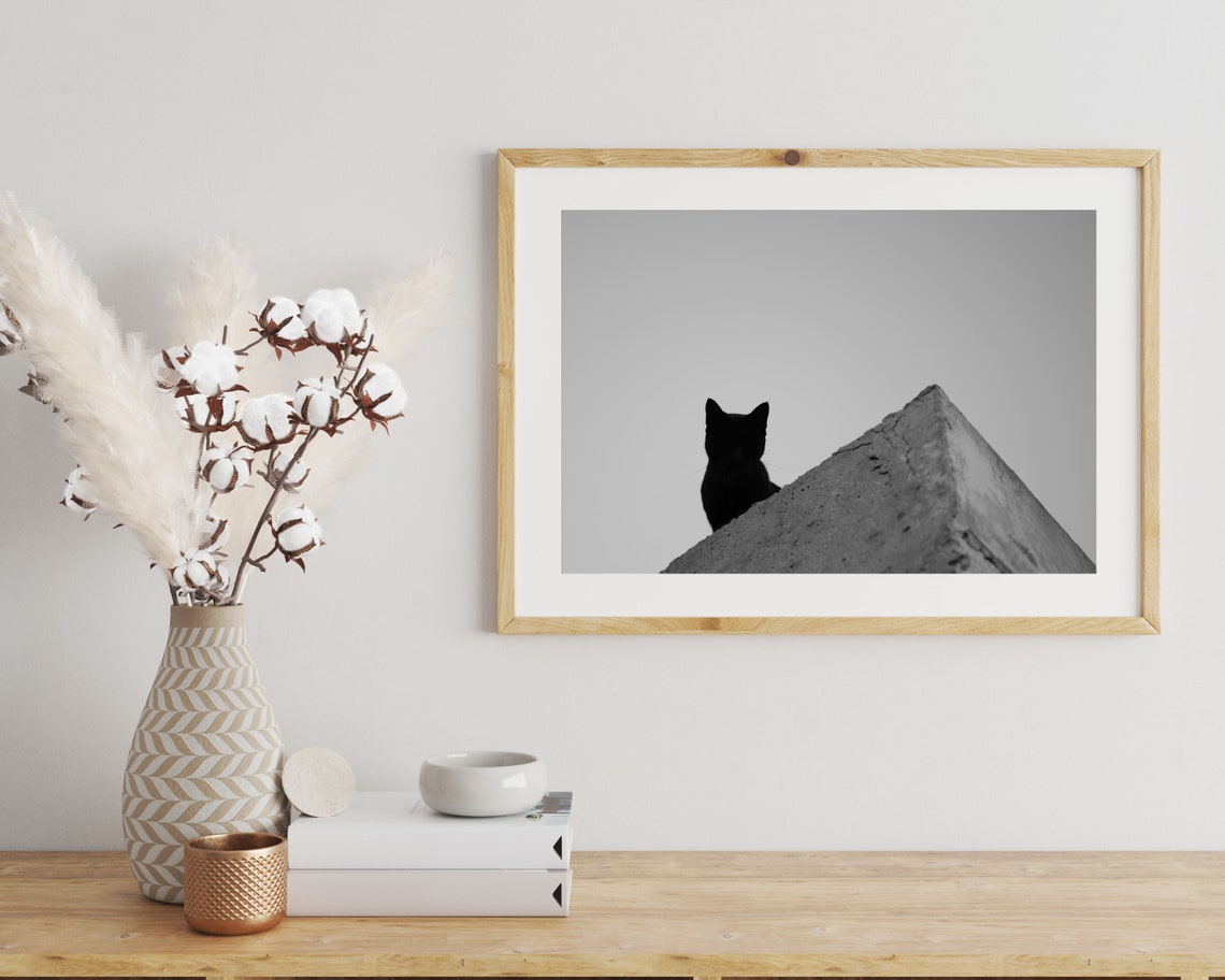 Monochrome Cat Photography Animal Photography Print Spain Photography Street Photography Wall Art Travel Photo Print Cat Photo Poster - Image 3