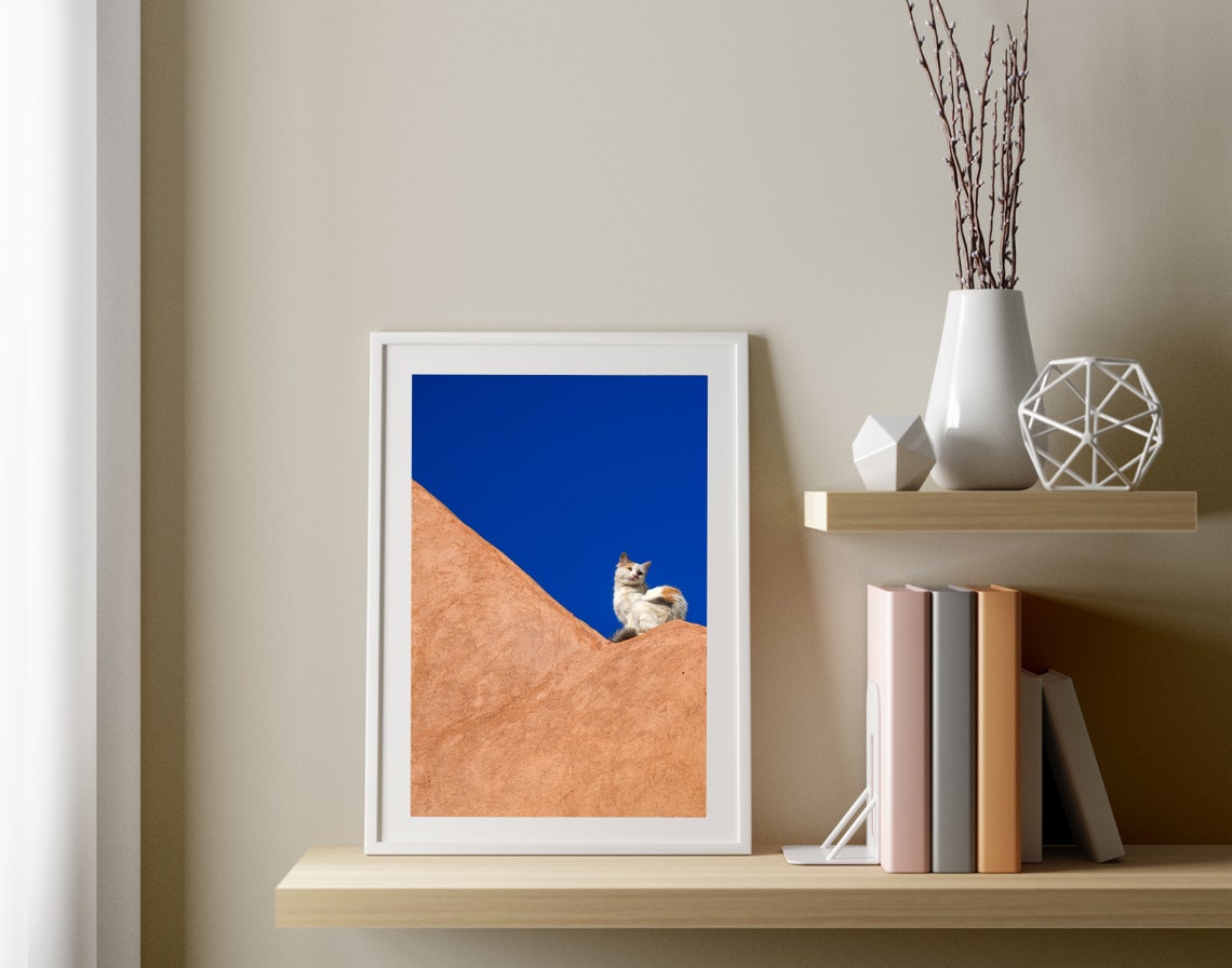 Stray Cat Photography Print Animal Photography Wall Art Marrakech Photography Morocco Photography Cat Photo Poster Original Photo - Image 3