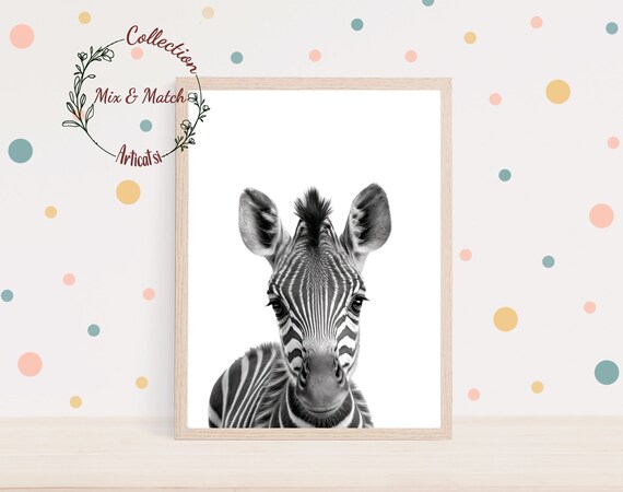 Black And White Baby Zebra Front Facing Portrait Nursery Wall Art