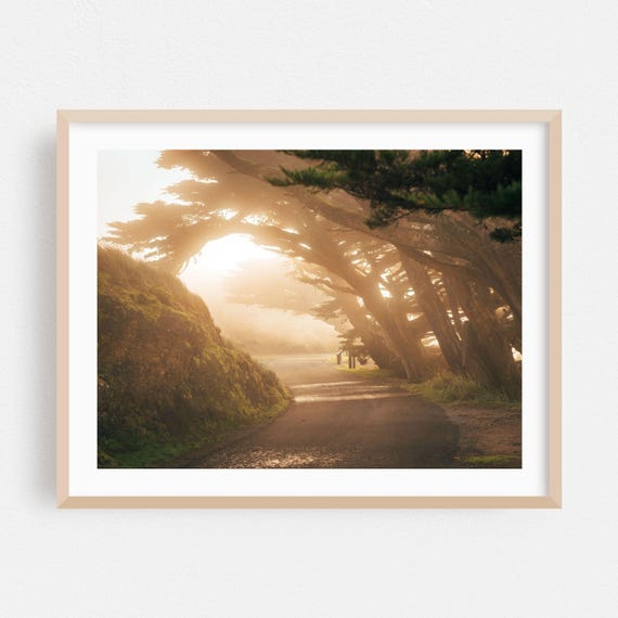 Point Reyes Station Print Wall Art Forest Framed Nature Home Decor Landscape Poster Scenic Fine Sunset Rural