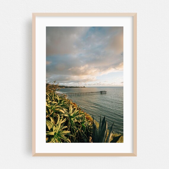 La Jolla Pier Ocean Sunset Aloe Plants California Coast Wall Art