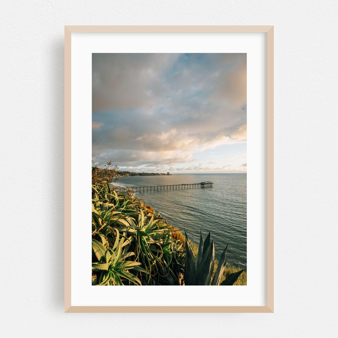 La Jolla Pier Ocean Sunset Aloe Plants California Coast Wall Art