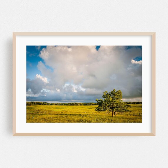 Lone Tree In Green Summer Meadow Under Dramatic Cloudscape Photo Print