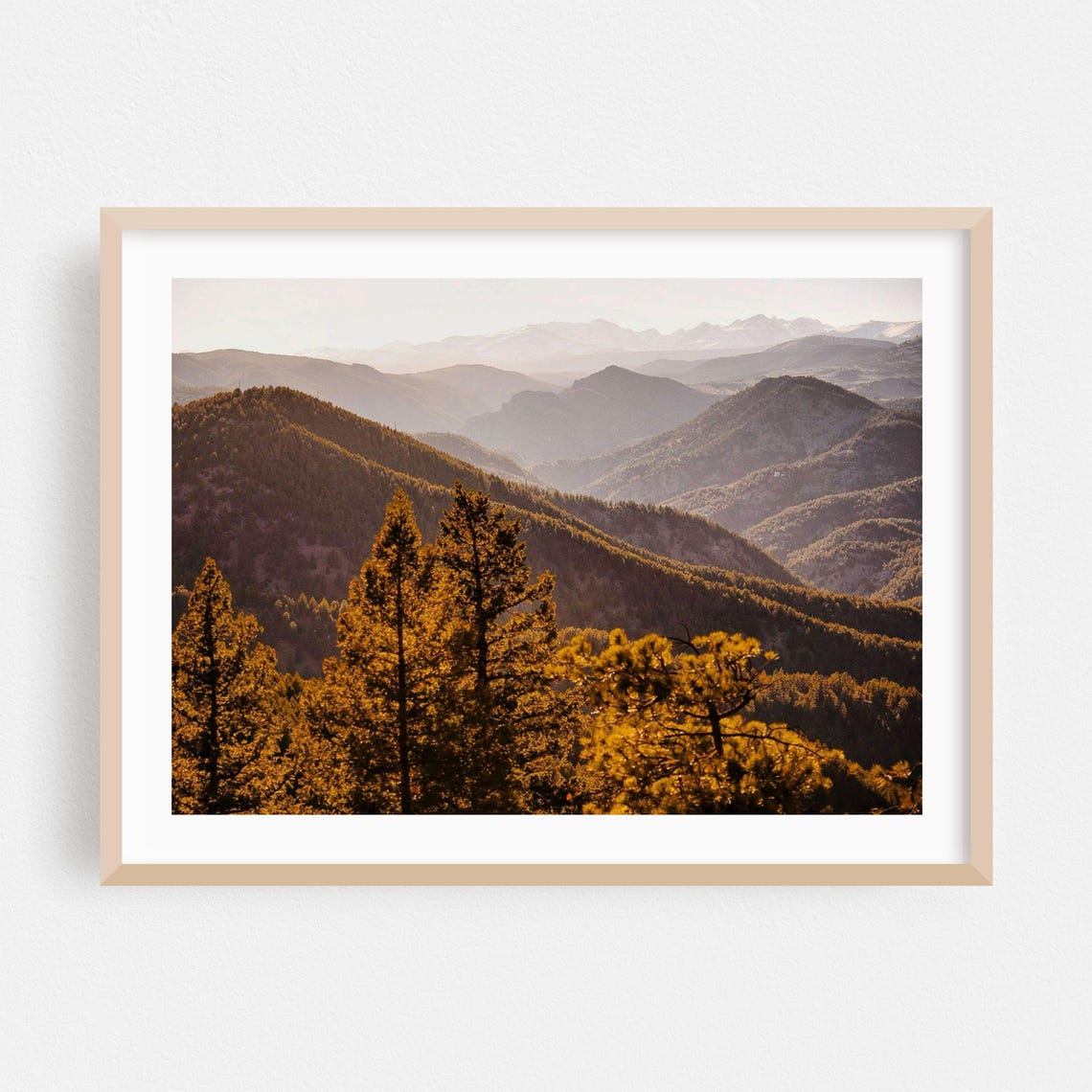 Boulder Colorado Golden Pine Forest Mountain Ridges Photography Poster