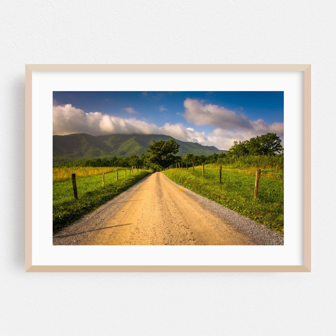 Sunlit Country Road Green Mountain Valley Fence Landscape Poster