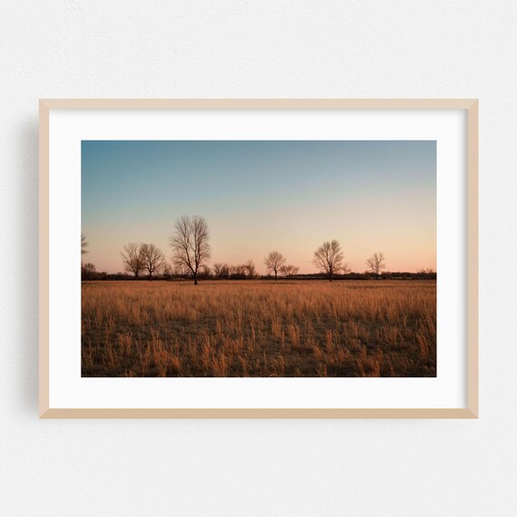 Oklahoma Prairie Sunset Golden Grass Field Minimalist Wall Print