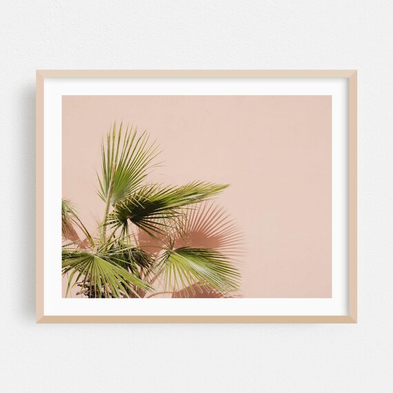 Palm Fronds Shadow Blush Pink Wall Tropical Minimalist Photo Poster