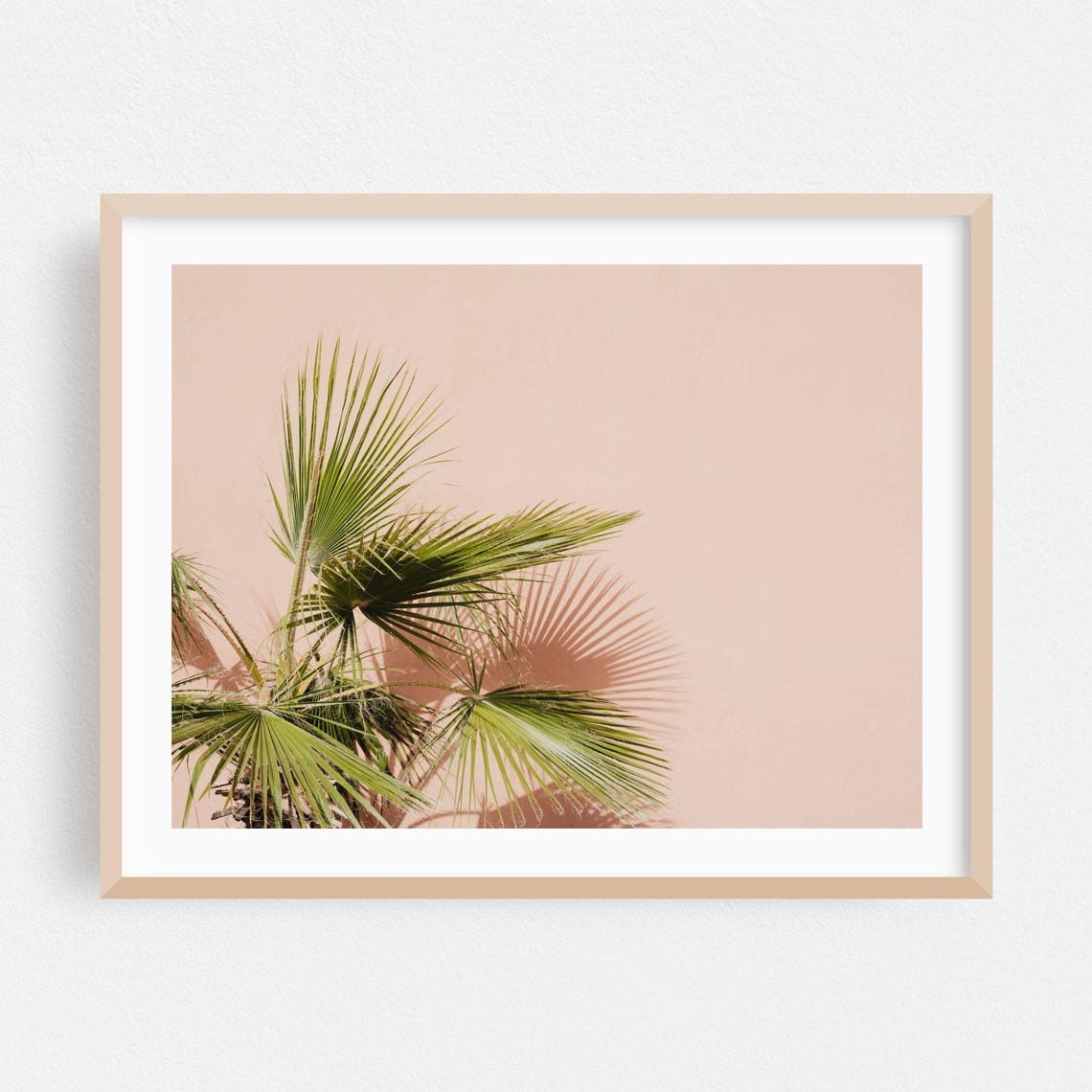 Palm Fronds Shadow Blush Pink Wall Tropical Minimalist Photo Poster