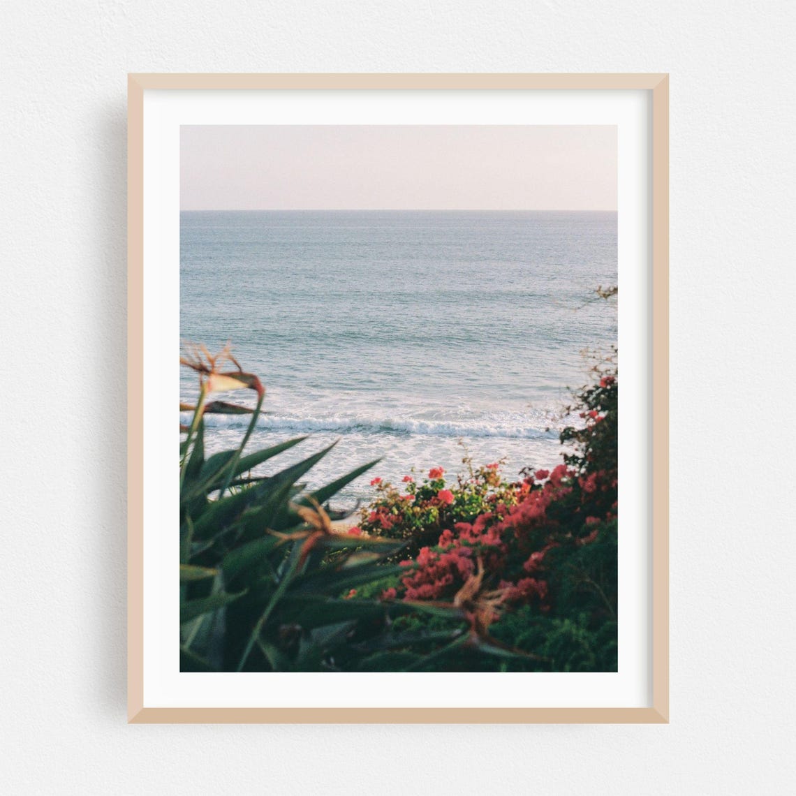 San Clemente Ocean View Tropical Red Flowers Beach Breeze Poster