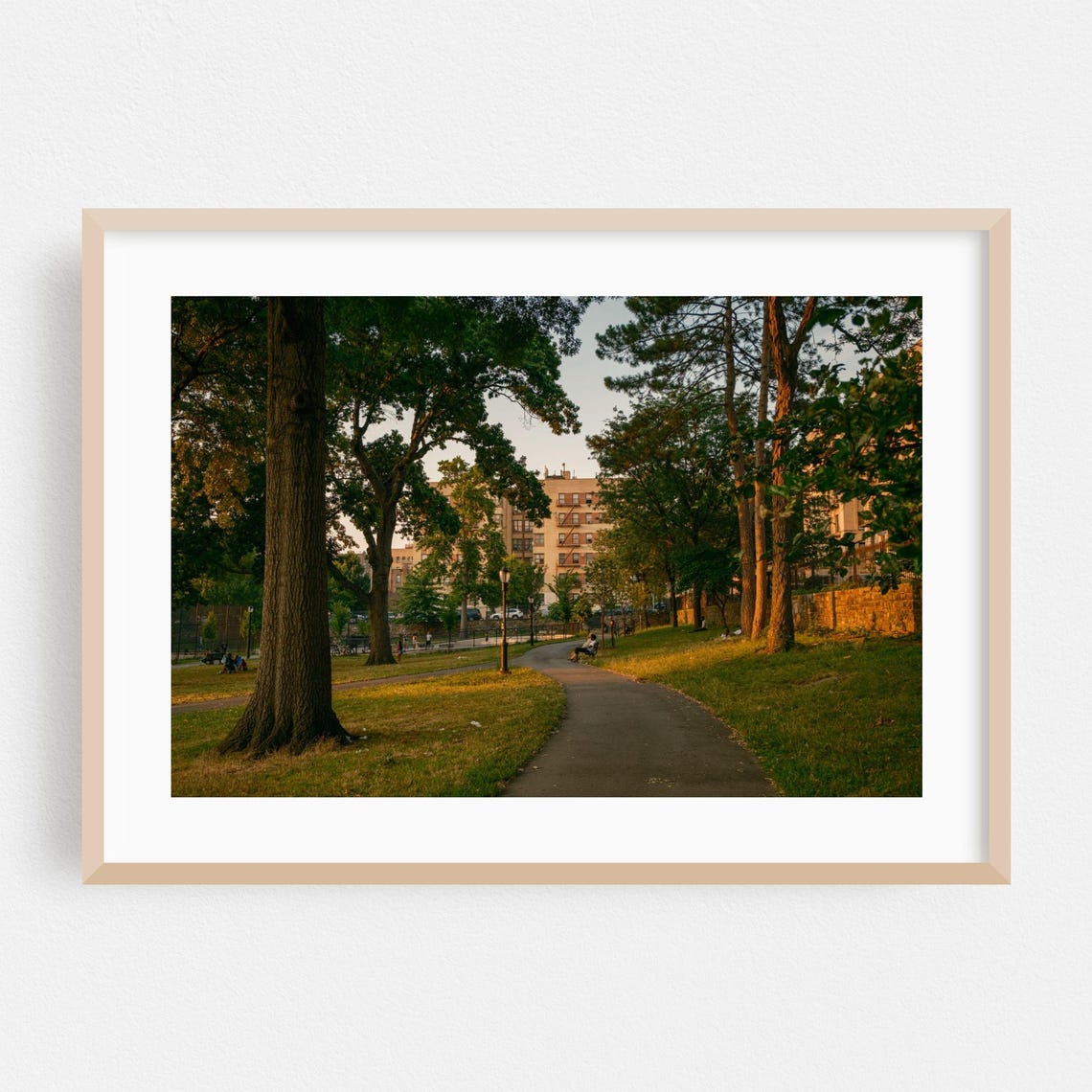 The Bronx New York Park Path At Golden Hour Photography Poster