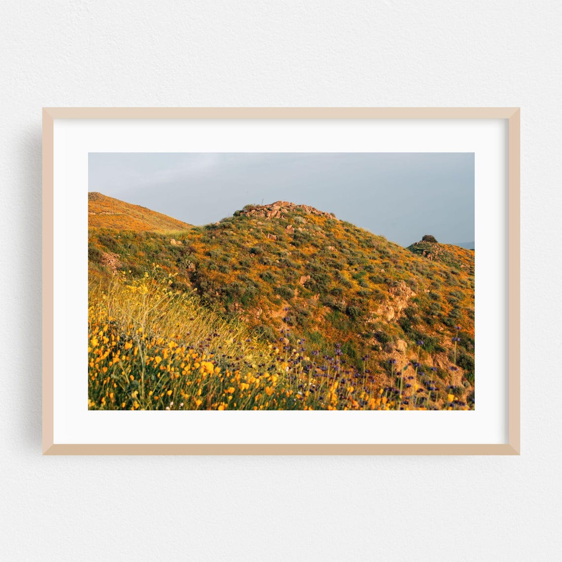 Wildflower Covered Hillside Rocky Summit Spring Photography Poster