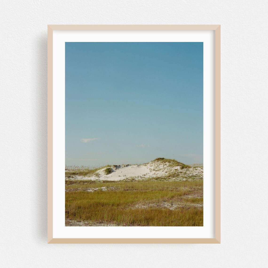 Santa Rosa Beach Florida Sand Dunes Coastal Nature Photo Poster