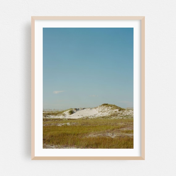 Santa Rosa Beach Florida Sand Dunes Coastal Nature Photo Poster