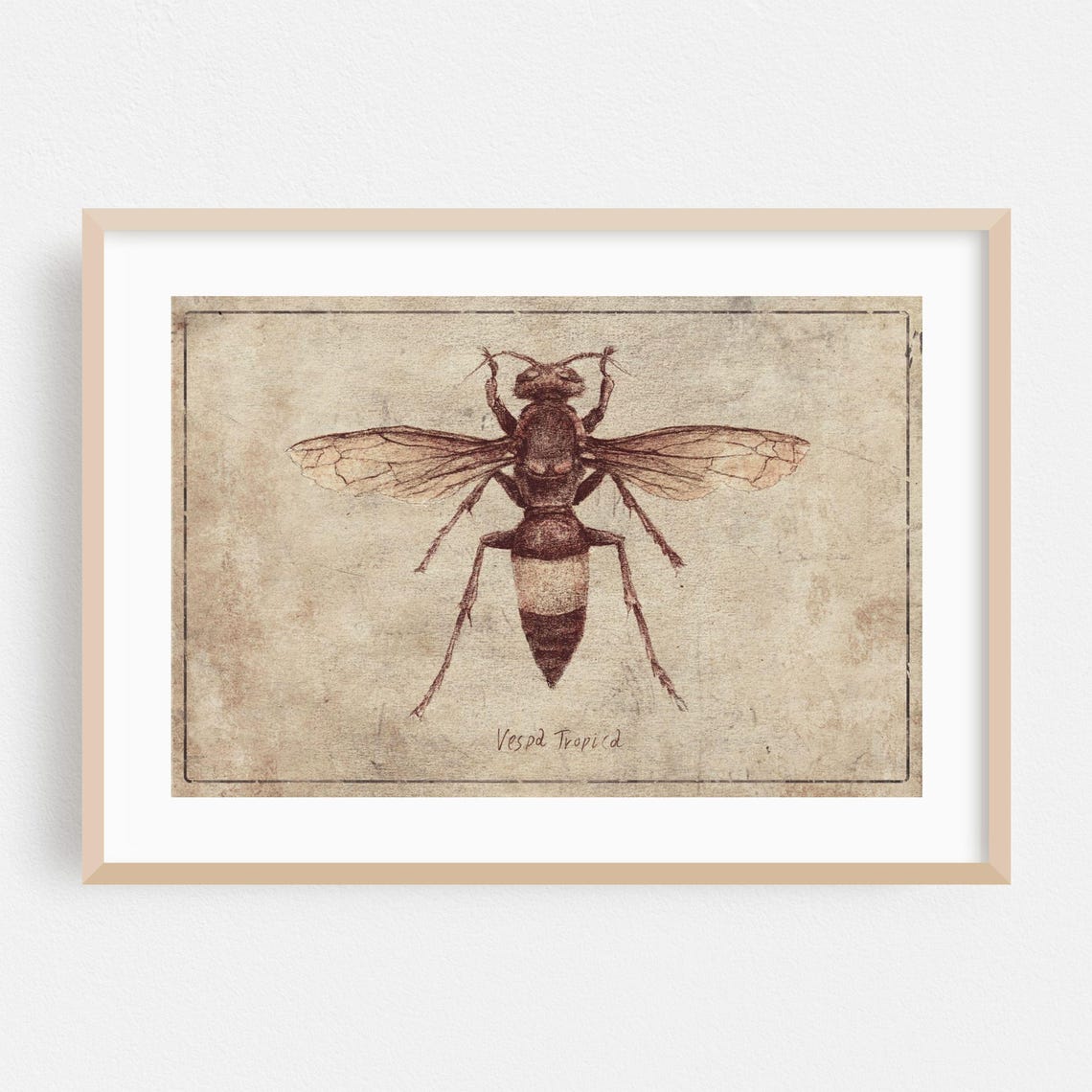 Vintage Print Insect Wall Art Botanical Framed Retro Home Decor Illustration Poster Nature Fine Deco Drawing
