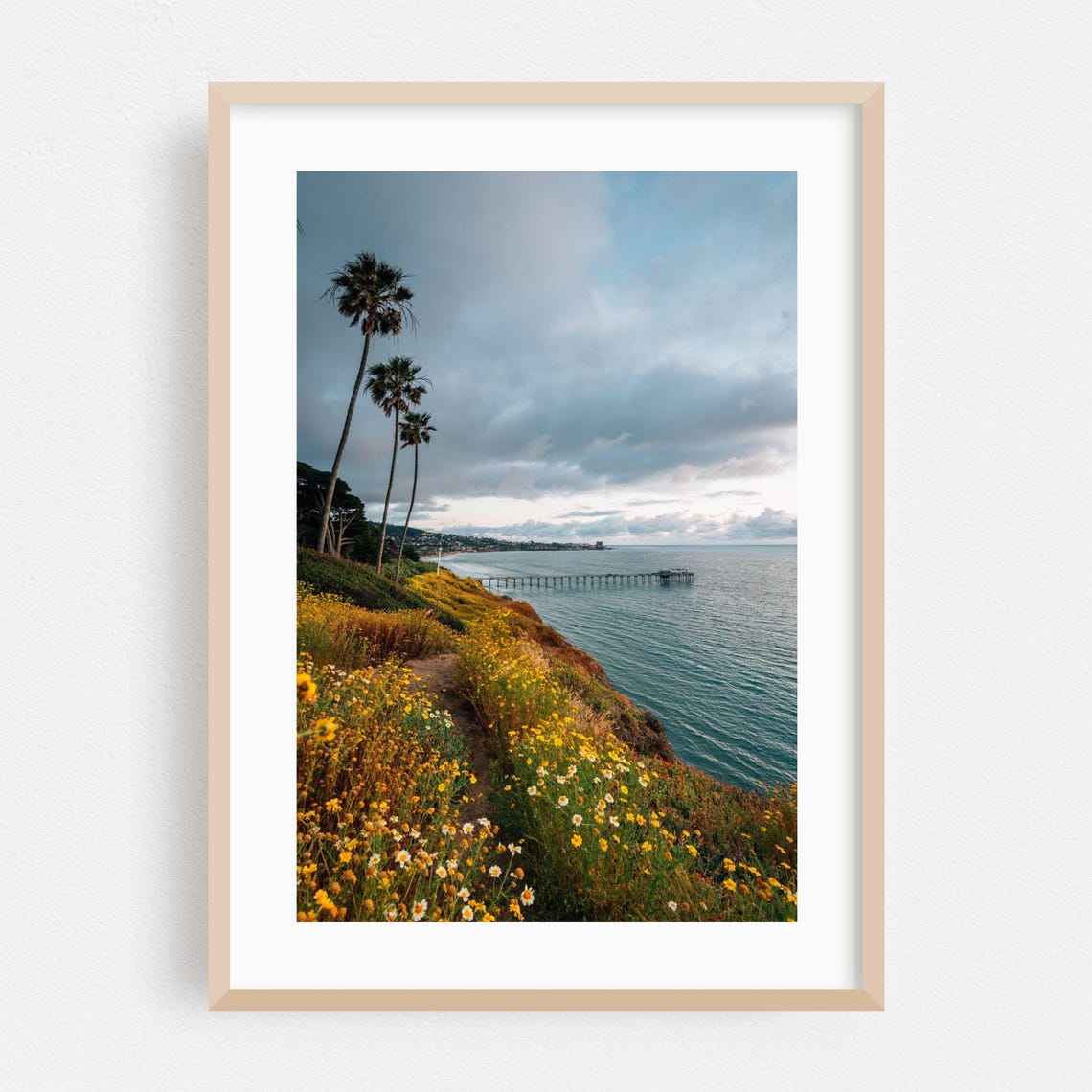 La Jolla Coastal Cliff Wildflower Palm Trees Ocean Pier Poster