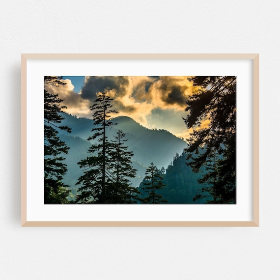 Tennessee Mountain Forest at Sunset Landscape Photography Poster