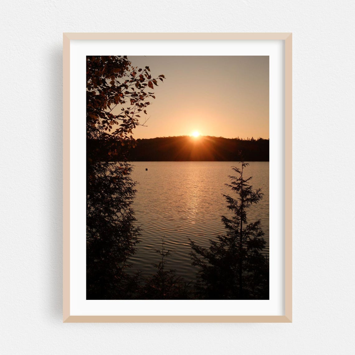 Westmore Vermont Glowing Sunset Over Calm Lake Silhouette Scene Poster