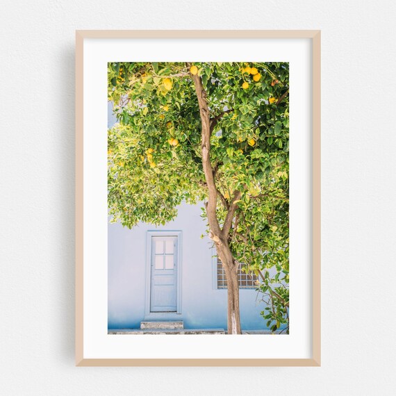 Nafplion Greece Lemon Tree Blue Door Mediterranean Photo Poster
