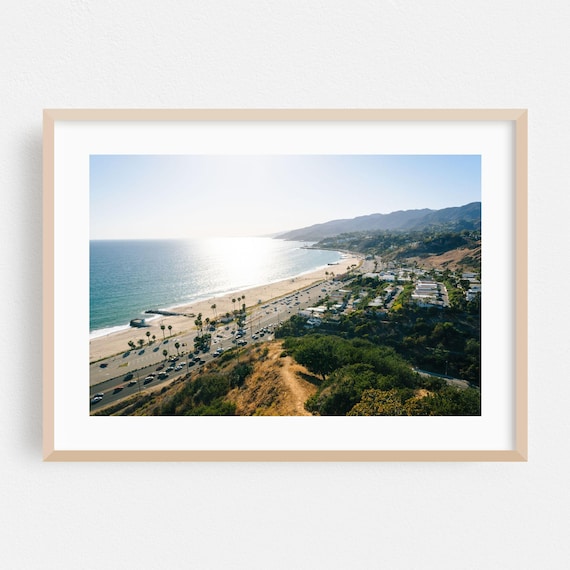 Los Angeles Aerial Beach Photo Sunlit Coastline Palms And Ocean Wall Art