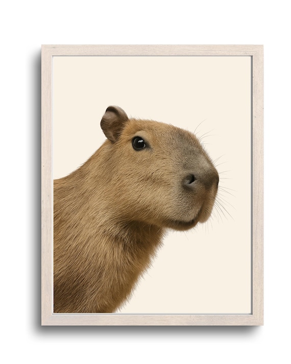 Cute Capybara Portrait Cream Background Adorable Animal Wall Art