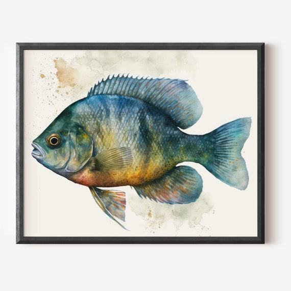 Bluegill Watercolor Art Fish Print Freshwater Fresh Cabin Decor Lakehouse Fisherman Gift Man Cave Bream