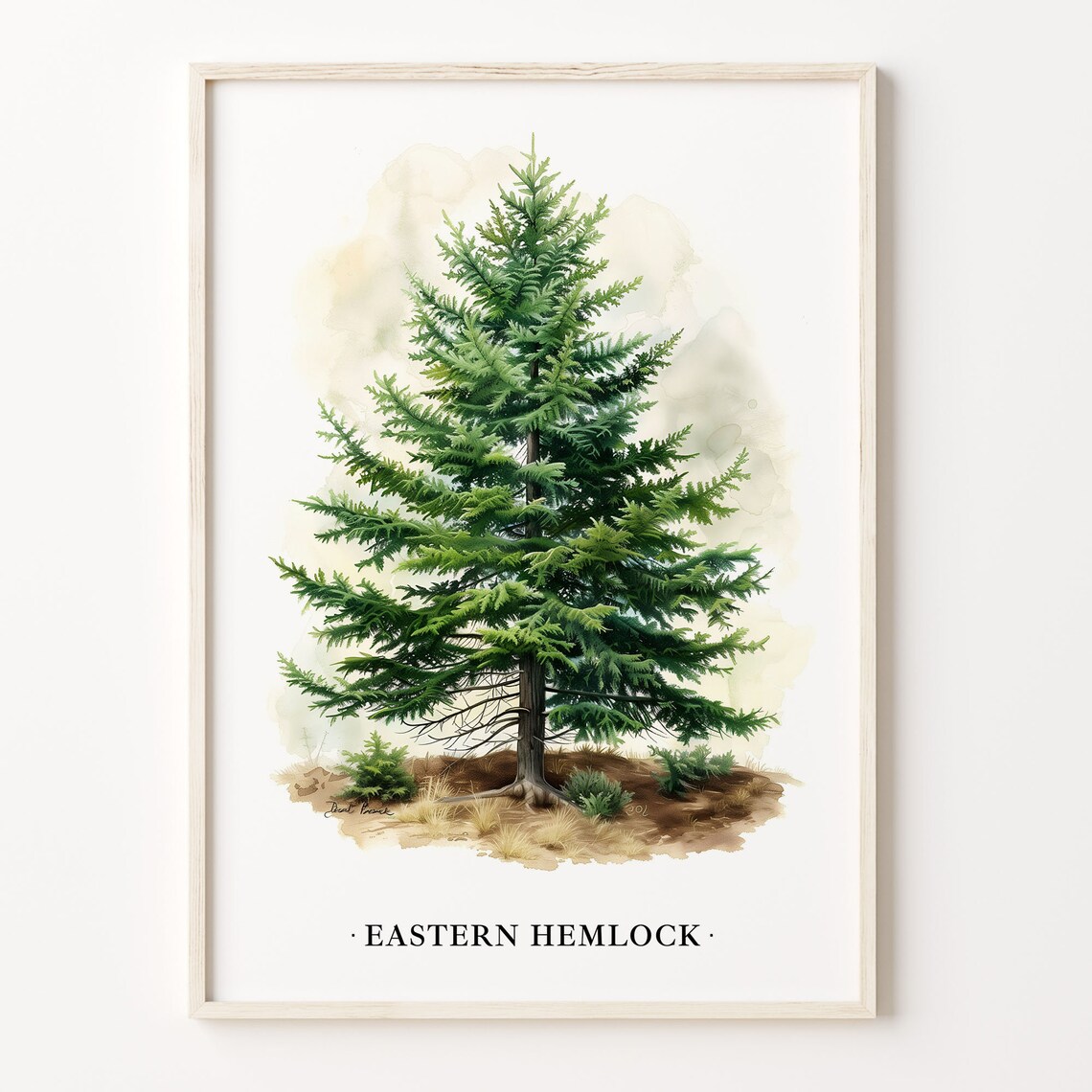 Eastern Hemlock Tree Art Print, Botanical Decor