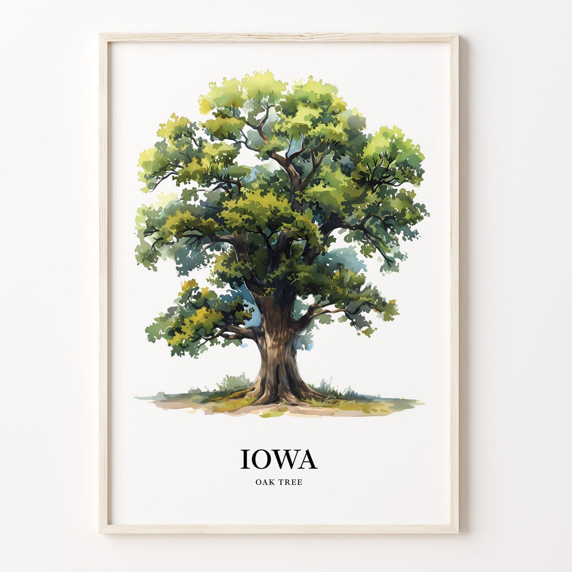 Majestic Iowa Oak Tree Watercolor Botanical Illustration Poster