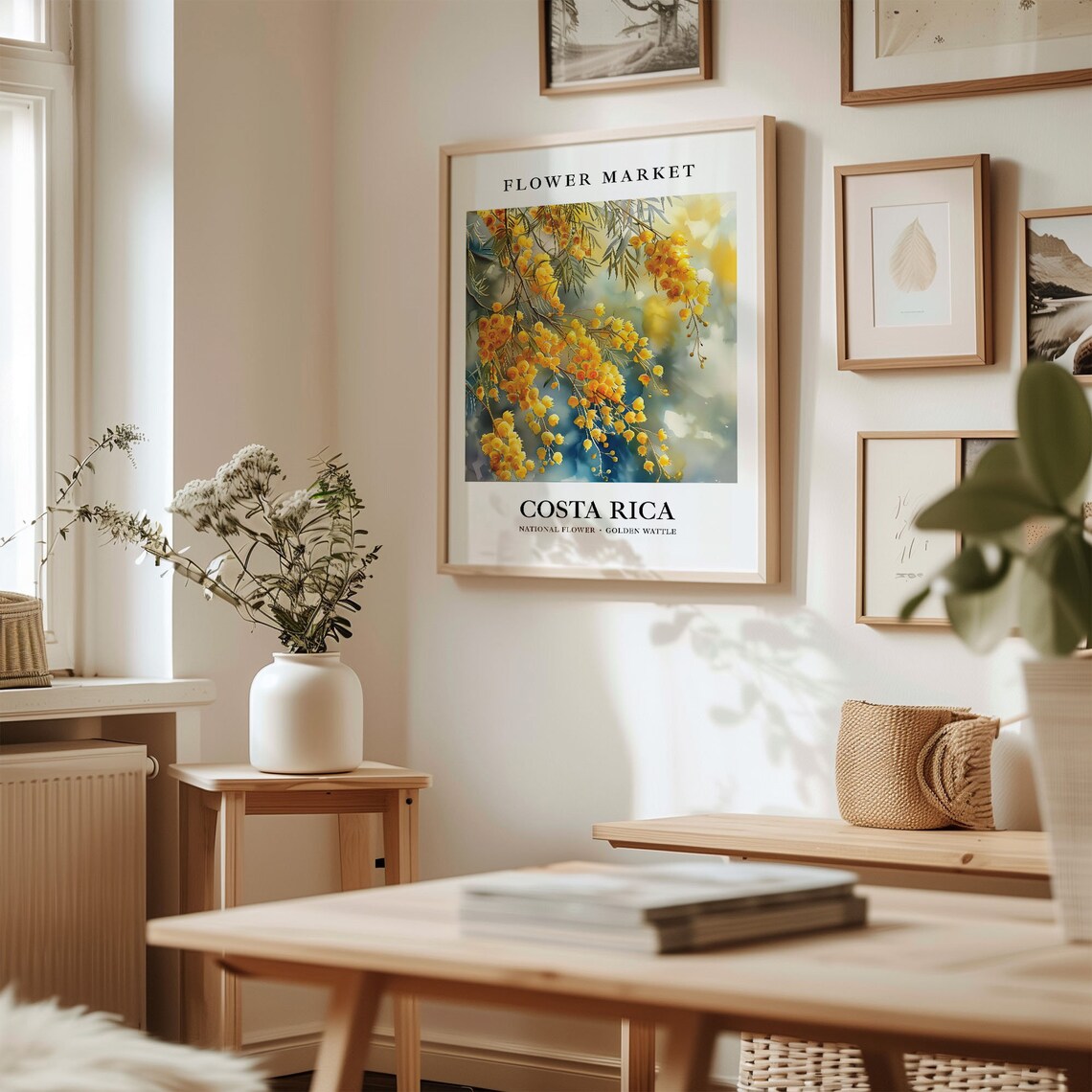 Costa Rica Golden Wattle National Flower Market Botanical Poster - Image 2