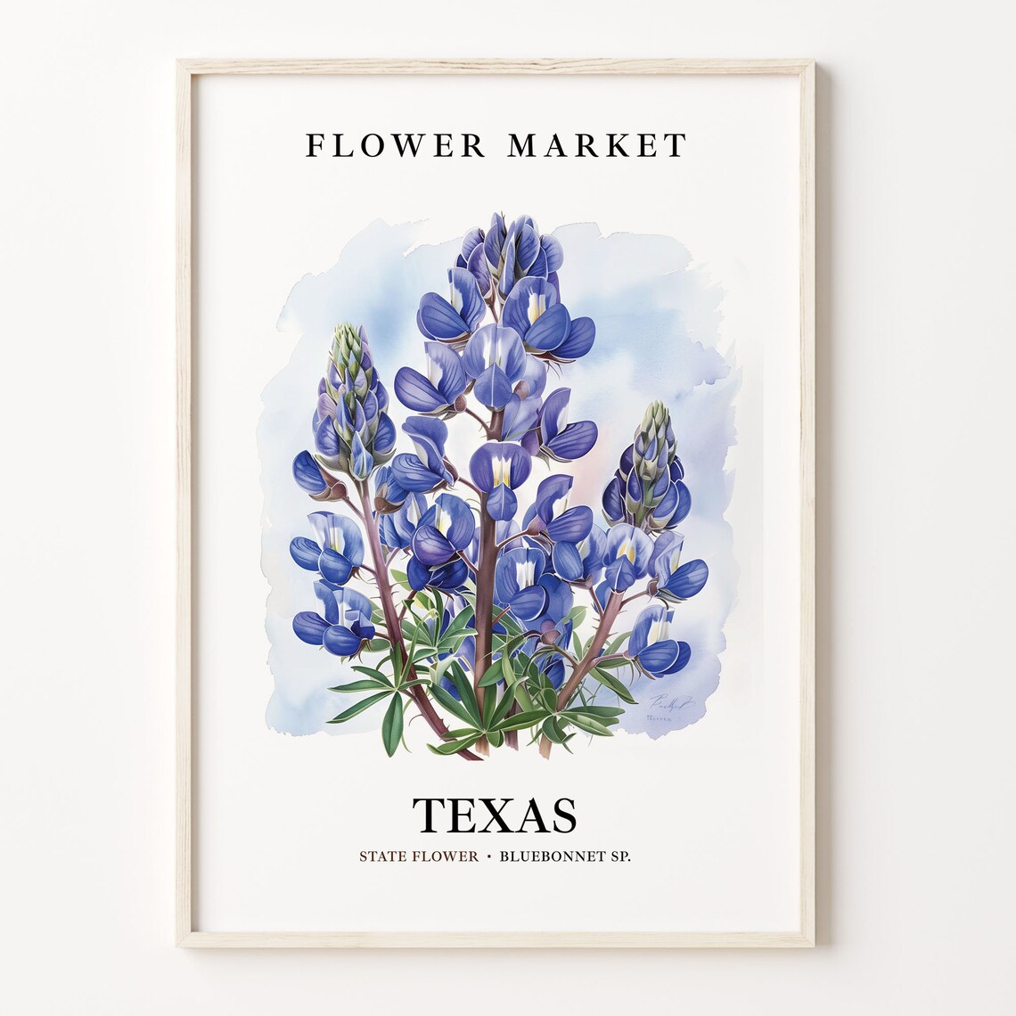 Texas State Flower Bluebonnet Art Print, 1960s