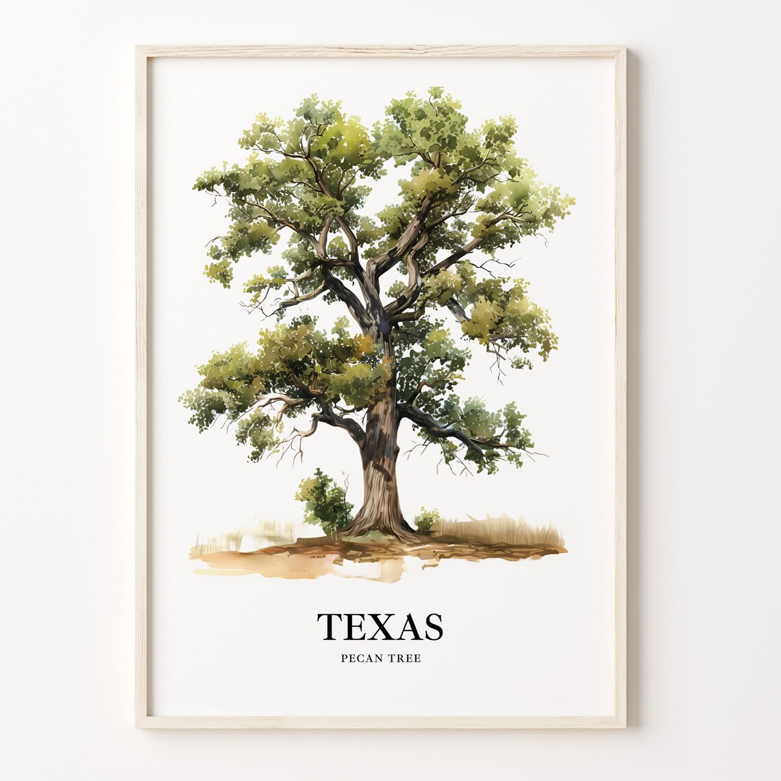 Pecan Tree Texas State Tree Art Print