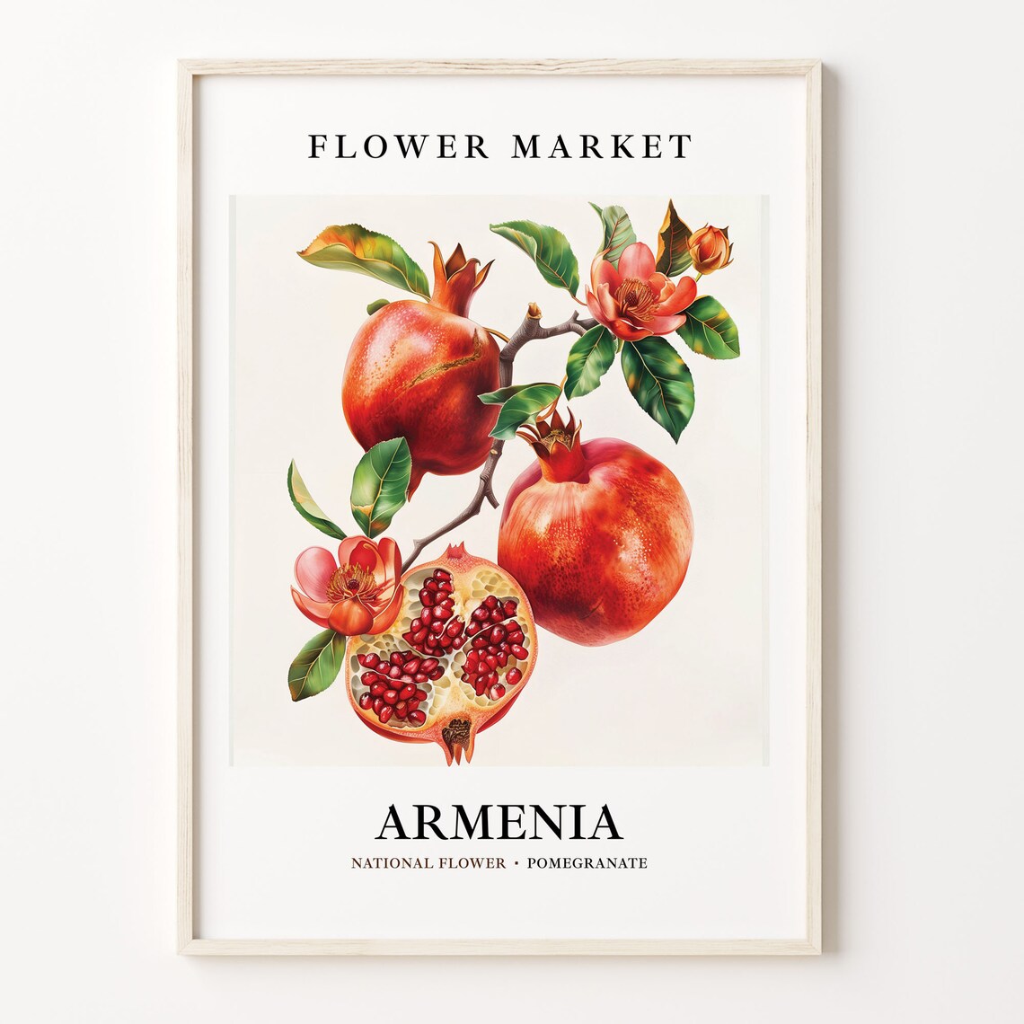 Armenia National State Flower Pomegranate Botanical Art Print
