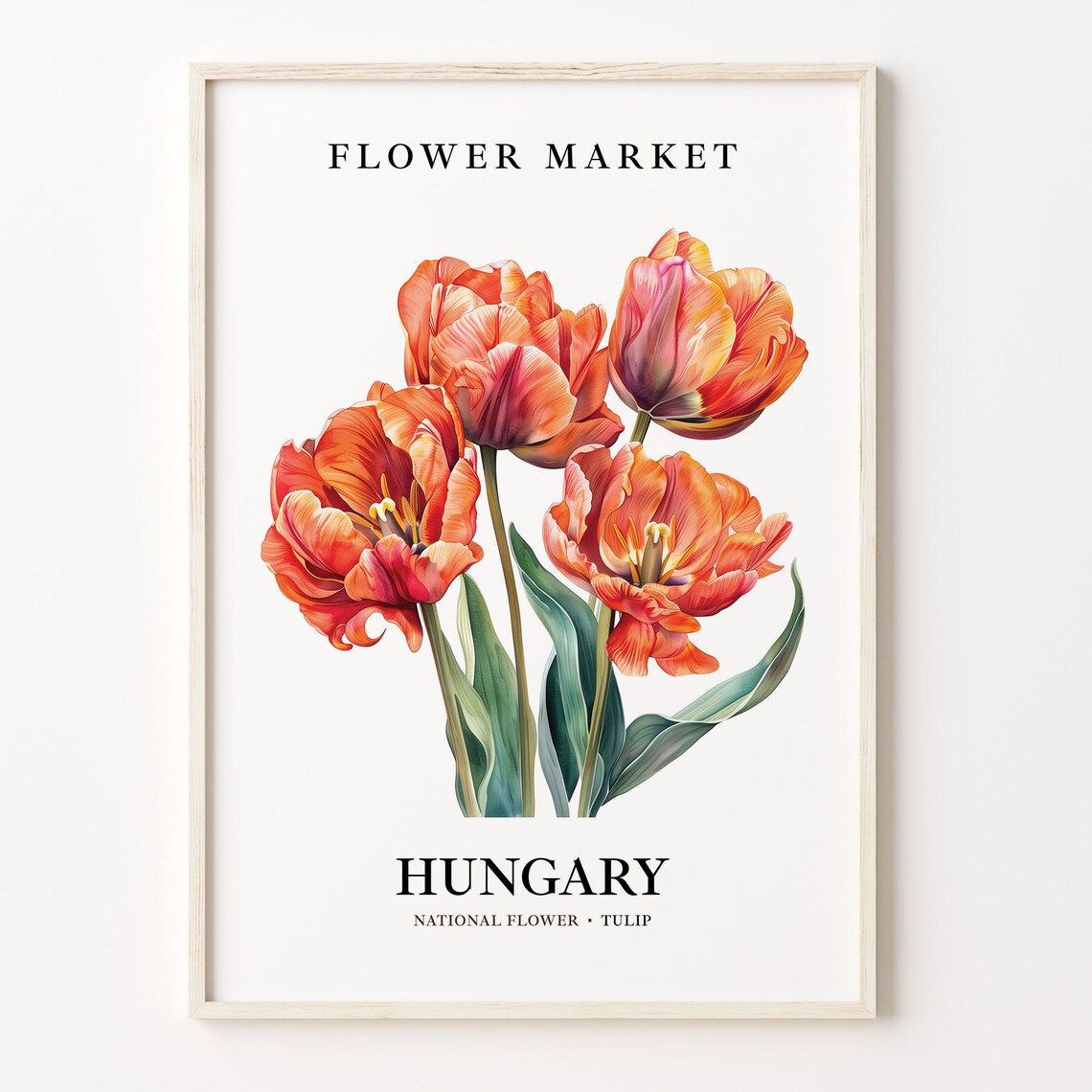 Hungary National Flower Art Print, 1960s Tulip Botanical