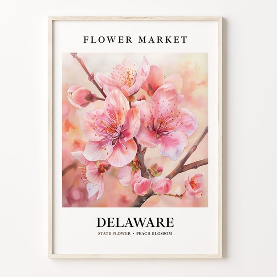 Delaware State Flower Peach Blossom, Botanical Art Print